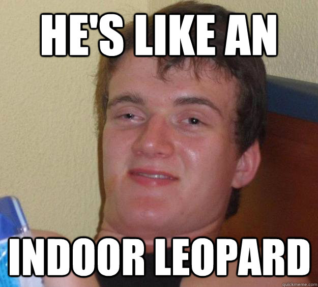 He's like an indoor leopard   10 Guy