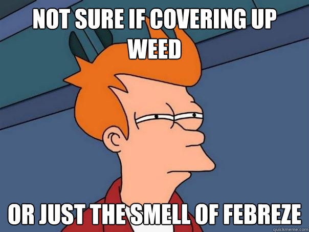 Not sure if covering up weed Or just the smell of febreze  Futurama Fry