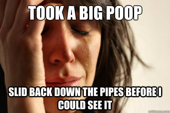 Took a big poop Slid back down the pipes before I could see it - Took a big poop Slid back down the pipes before I could see it  First World Problems