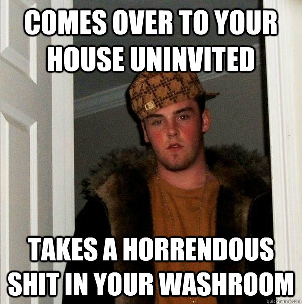 Comes over to your house uninvited Takes a horrendous shit in your washroom  Scumbag Steve