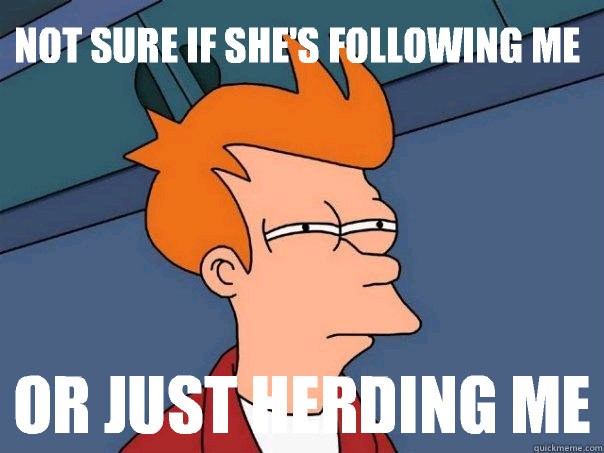 Not sure if she's following me Or just herding me  Futurama Fry