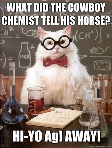 WHAT DID THE COWBOY CHEMIST TELL HIS HORSE? HI-YO Ag! AWAY!  Chemistry Cat