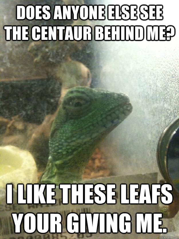 Does anyone else see the Centaur behind me? I like these leafs your giving me.  Leery Lizard