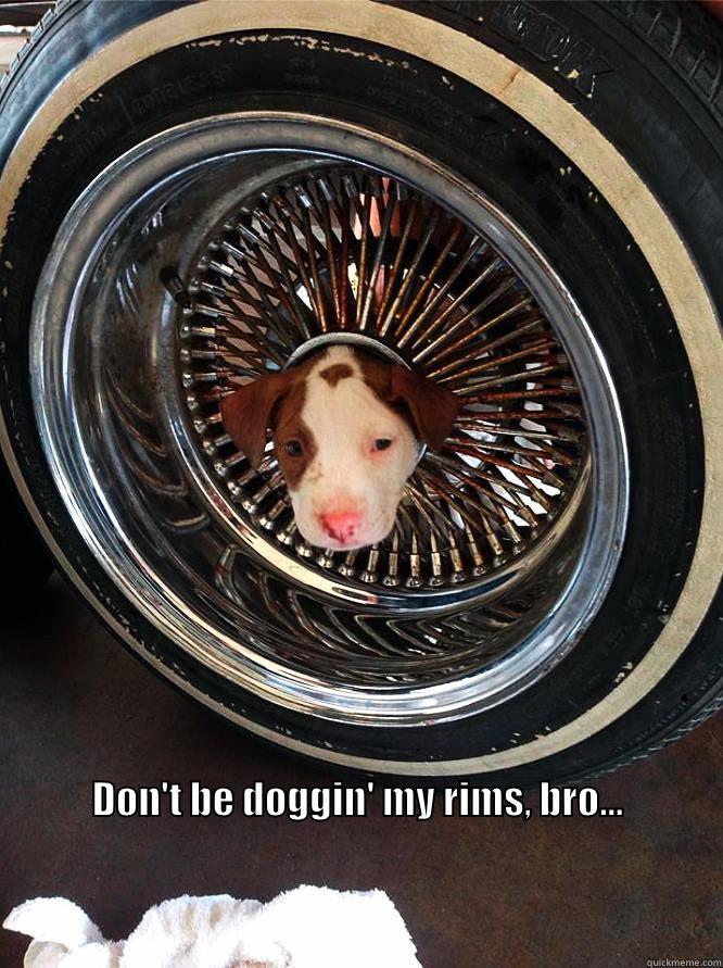  DON'T BE DOGGIN' MY RIMS, BRO...                                                                                                                                                                                                                                Misc