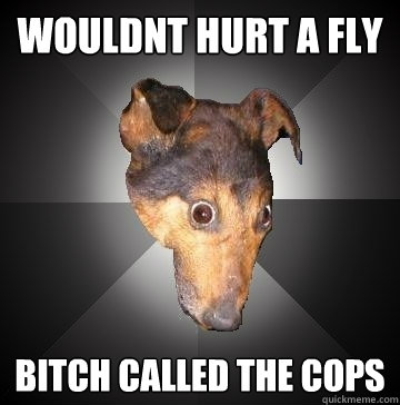 wouldnt hurt a fly bitch called the cops  Depression Dog