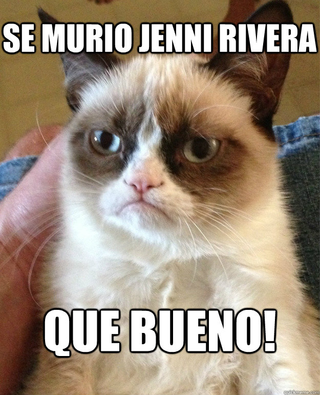 se murio jenni rivera que bueno!  Grumpy Cat