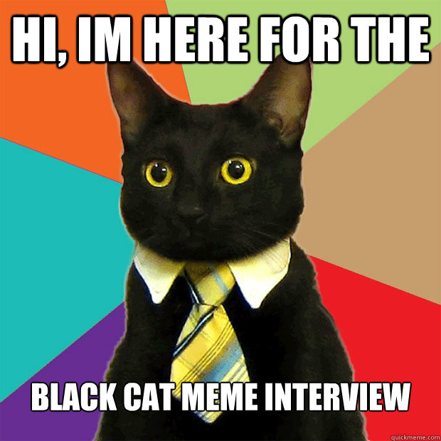 hi, im here for the  black cat meme interview  Business Cat