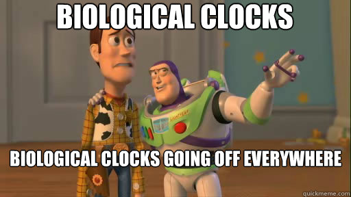 biological clocks biological clocks going off everywhere everywhere - biological clocks biological clocks going off everywhere everywhere  Everywhere