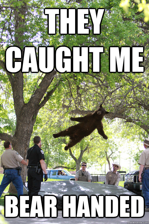 They caught me bear handed  Boulder Bear