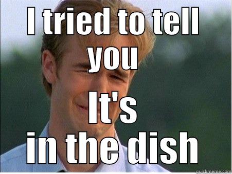 I TRIED TO TELL YOU IT'S IN THE DISH 1990s Problems