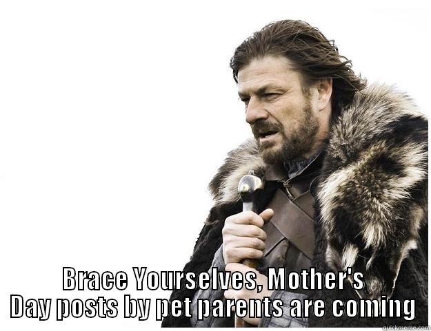  BRACE YOURSELVES, MOTHER'S DAY POSTS BY PET PARENTS ARE COMING Imminent Ned