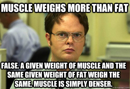 Muscle weighs more than fat False. A given weight of muscle and the same given weight of fat weigh the same. Muscle is simply denser.  Schrute