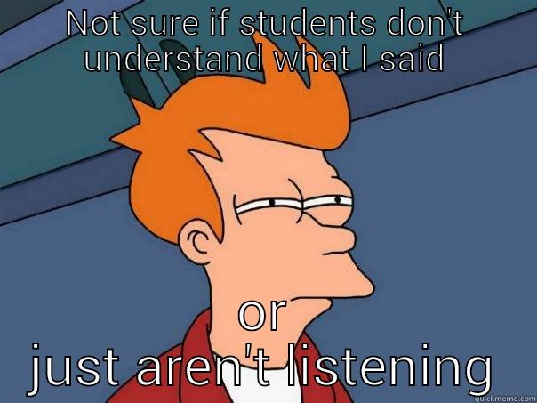 NOT SURE IF STUDENTS DON'T UNDERSTAND WHAT I SAID OR JUST AREN'T LISTENING Futurama Fry