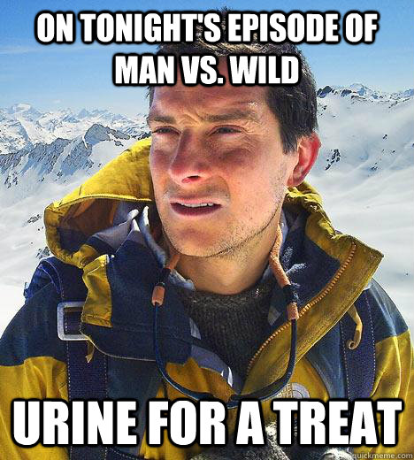 On tonight's episode of man vs. wild urine for a treat - On tonight's episode of man vs. wild urine for a treat  Bear Grylls