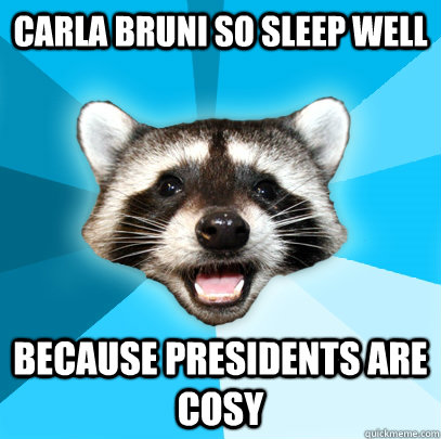 Carla Bruni so sleep well because presidents are cosy  Lame Pun Coon