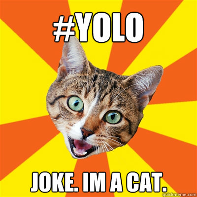 #YOLO Joke. im a cat.  Bad Advice Cat