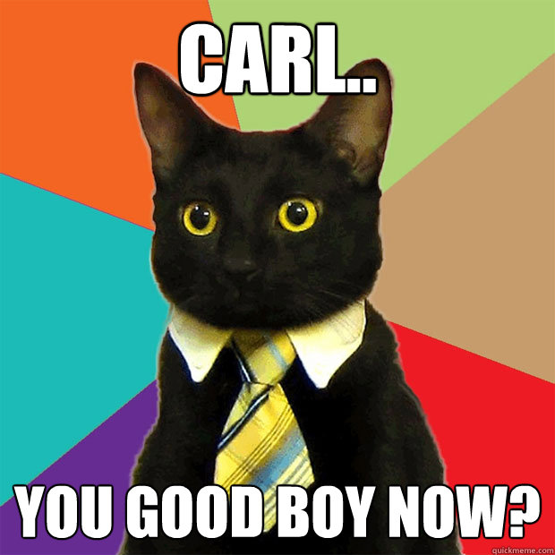 Carl.. You good boy now?  Business Cat