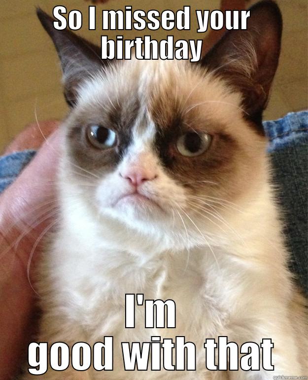 Grumpy Meme - SO I MISSED YOUR BIRTHDAY I'M GOOD WITH THAT Misc