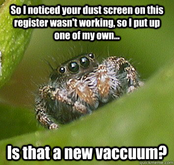 So I noticed your dust screen on this register wasn't working, so I put up one of my own... Is that a new vaccuum?  Misunderstood Spider