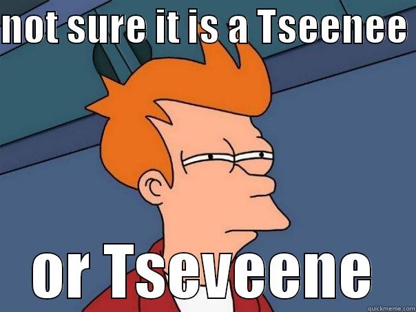 NOT SURE IT IS A TSEENEE  OR TSEVEENE Futurama Fry