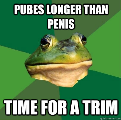 pubes longer than penis time for a trim  Foul Bachelor Frog