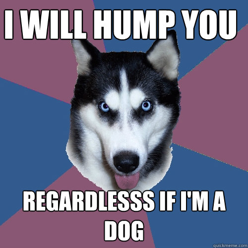 I will hump you regardlesss if i'm a dog  Creeper Canine