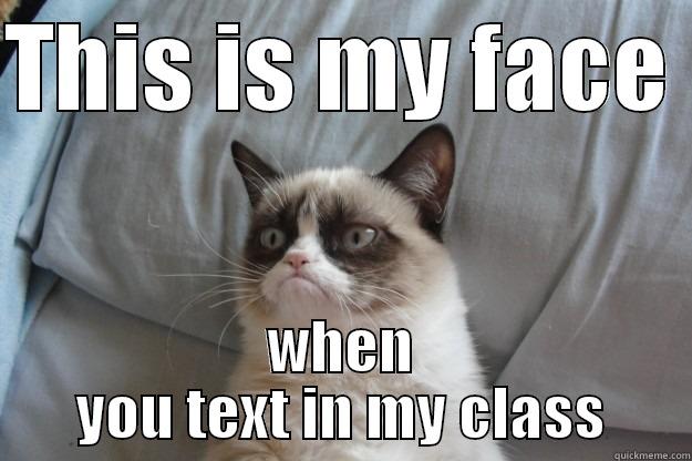 THIS IS MY FACE  WHEN YOU TEXT IN MY CLASS Grumpy Cat