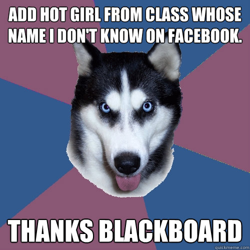 Add hot girl from class whose name I don't know on facebook. Thanks Blackboard  Creeper Canine