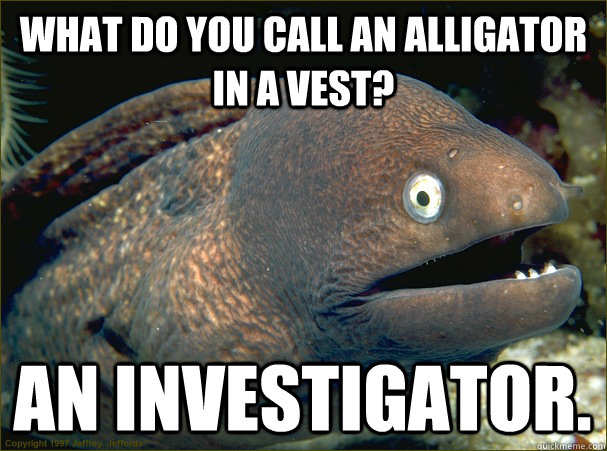 What do you call an alligator in a vest? An investigator.  Bad Joke Eel