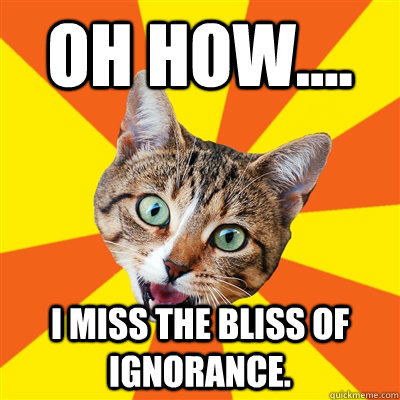 Oh how.... I miss the bliss of ignorance.  Bad Advice Cat