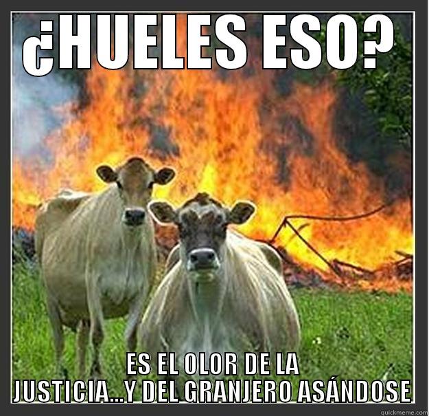 Fuck the title requirement - ¿HUELES ESO? ES EL OLOR DE LA JUSTICIA...Y DEL GRANJERO ASÁNDOSE Evil cows