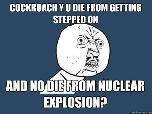 cockroach y u die from getting stepped on  and no die from nuclear explosion?  Y U No