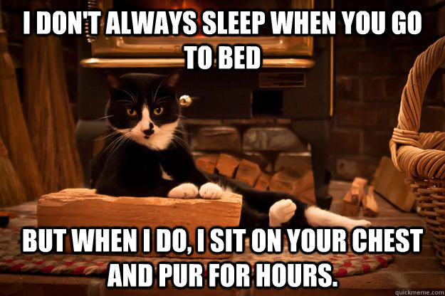 I don't always sleep when you go to bed But when I do, I sit on your chest and pur for hours. - I don't always sleep when you go to bed But when I do, I sit on your chest and pur for hours.  Misc