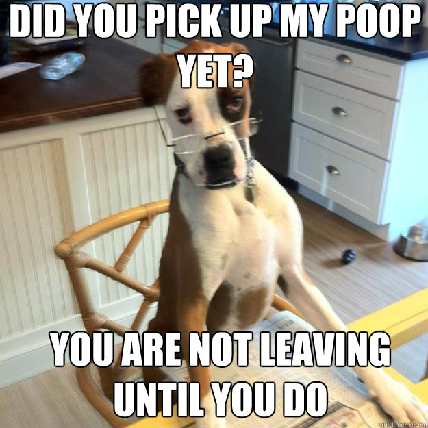 Did you pick up my poop yet? You are not leaving until you do  