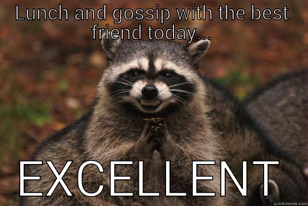 LUNCH AND GOSSIP WITH THE BEST FRIEND TODAY... EXCELLENT Evil Plotting Raccoon