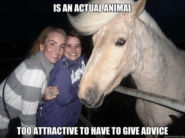 is an actual animal too attractive to have to give advice  Ridiculously Photogenic Horse