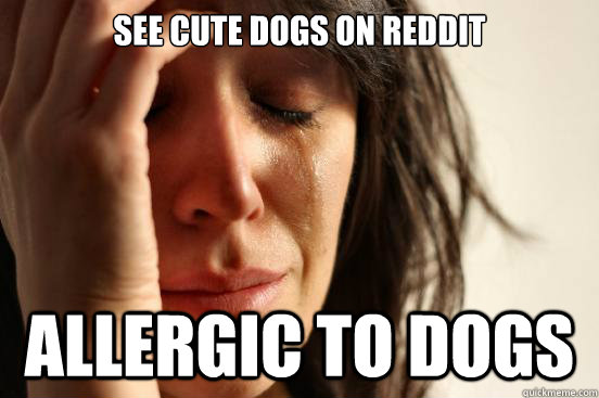 See cute dogs on reddit allergic to dogs  First World Problems