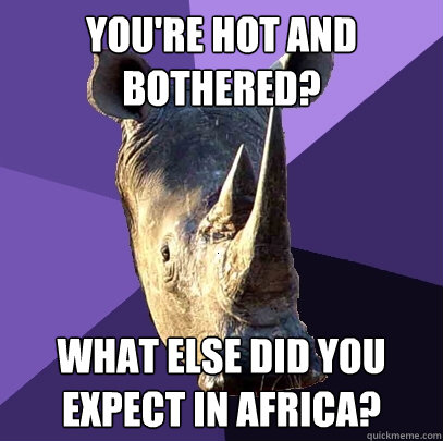 you're hot and bothered? what else did you expect in africa?  Sexually Oblivious Rhino