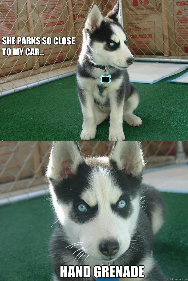 She parks so close 
to my car...



 
hand grenade  Insanity puppy