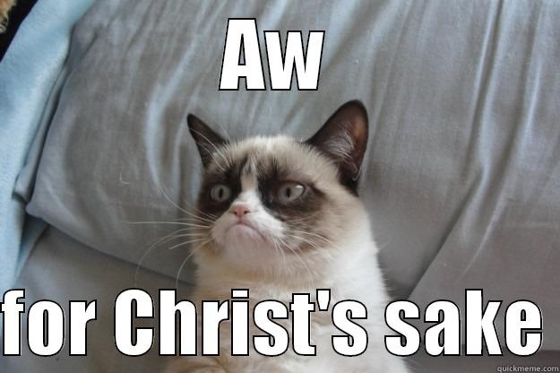 AW  FOR CHRIST'S SAKE Grumpy Cat