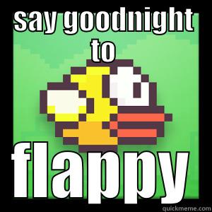 SAY GOODNIGHT TO FLAPPY Misc