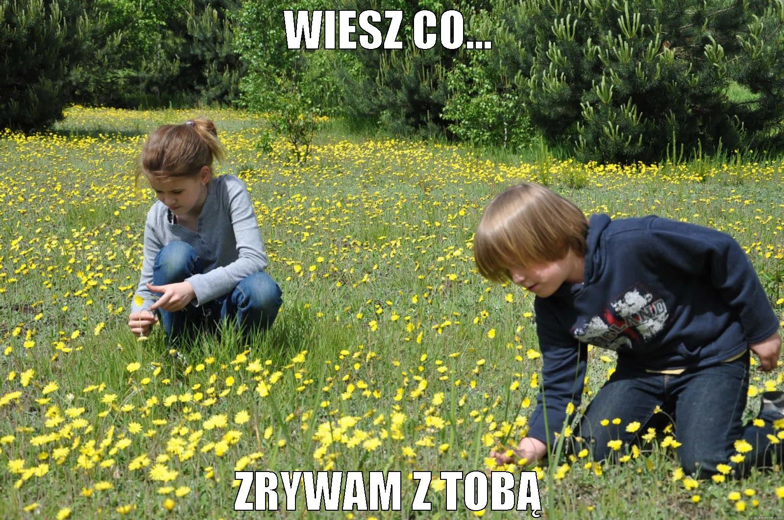 WIESZ CO... ZRYWAM Z TOBĄ Misc