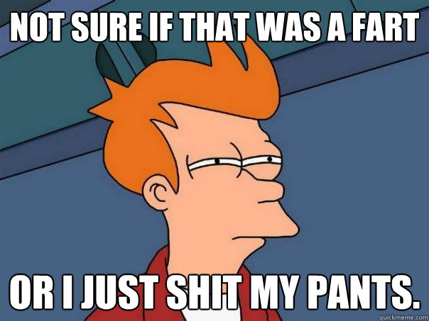 not sure if that was a fart or I just shit my pants.  Futurama Fry