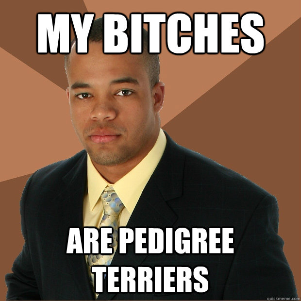 My bitches are pedigree terriers  Successful Black Man