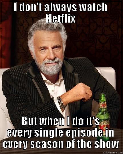 I DON'T ALWAYS WATCH NETFLIX BUT WHEN I DO IT'S EVERY SINGLE EPISODE IN EVERY SEASON OF THE SHOW The Most Interesting Man In The World