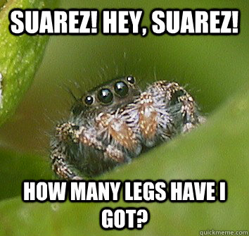 Suarez! hey, suarez! How many legs have I got?  Misunderstood Spider