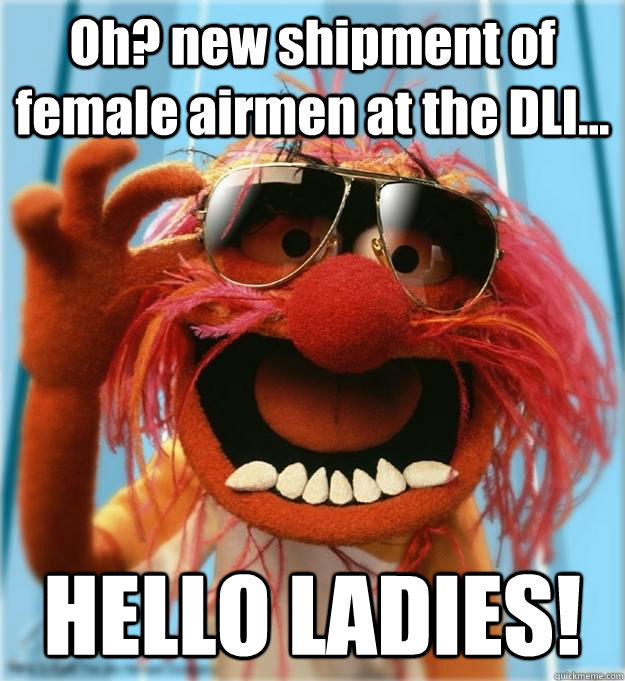 Oh? new shipment of female airmen at the DLI... HELLO LADIES!  Advice Animal