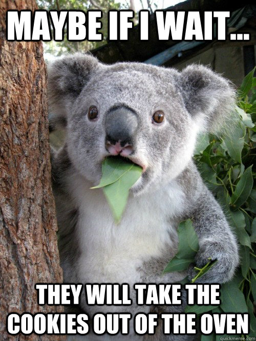 Maybe if i wait... They will take the cookies out of the oven - Maybe if i wait... They will take the cookies out of the oven  koala bear