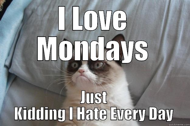 frye gye - I LOVE MONDAYS JUST KIDDING I HATE EVERY DAY Grumpy Cat