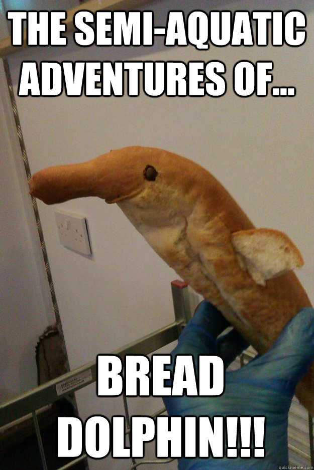 The semi-aquatic adventures of... BREAD DOLPHIN!!! - The semi-aquatic adventures of... BREAD DOLPHIN!!!  BrdDlphn